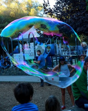 Bubble Science Donation Table